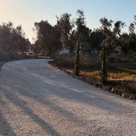 San Giuseppe Pool, Olive Trees And Sea View